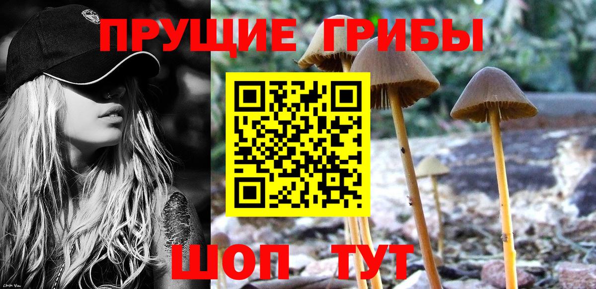 Псилоцибиновые грибы мухоморы  Псилоцибиновые грибы мухоморы  Пыть-Ях  сколько стоит  Вход с VPN 
